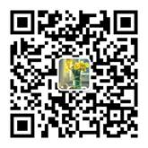 说明:图片1