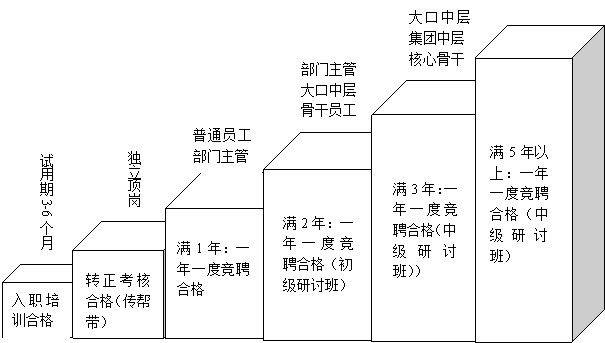 文本框:试用期3-6个月,文本框:独立顶岗