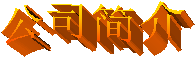 ˾