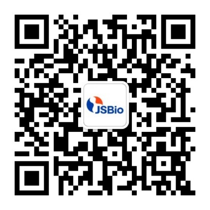 QR 代码描述已自动生成